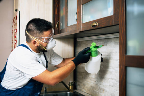 Best Pest Prevention Services  in Hill City, KS