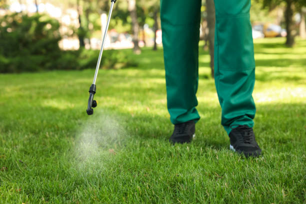 Best Emergency Pest Control  in Hill City, KS