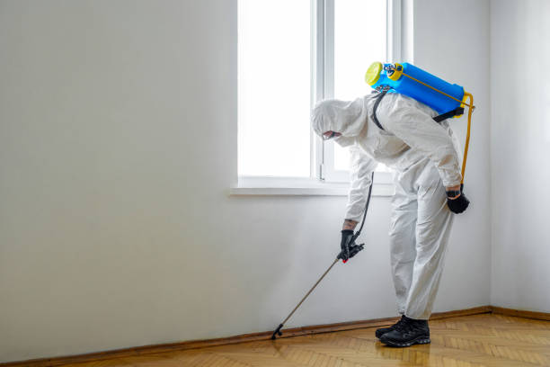 Best Bed Bug Extermination  in Hill City, KS